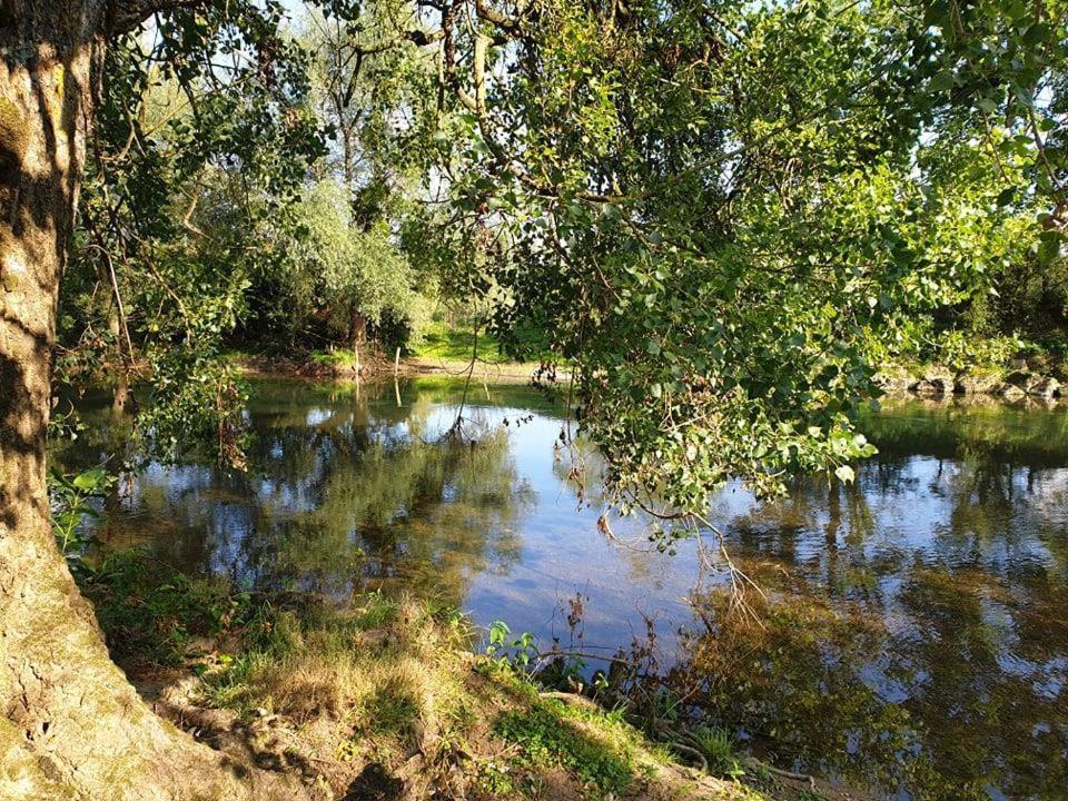 Écrin de Nature en bord de rivière Cenans Exterior foto
